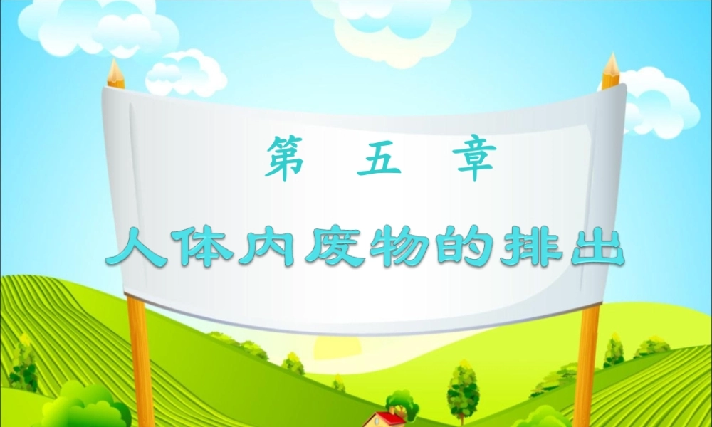第五章人体内废物的排出.ppt