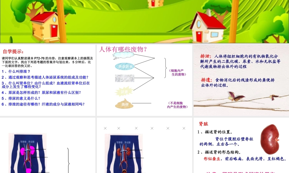 第五章人体内废物的排出.ppt