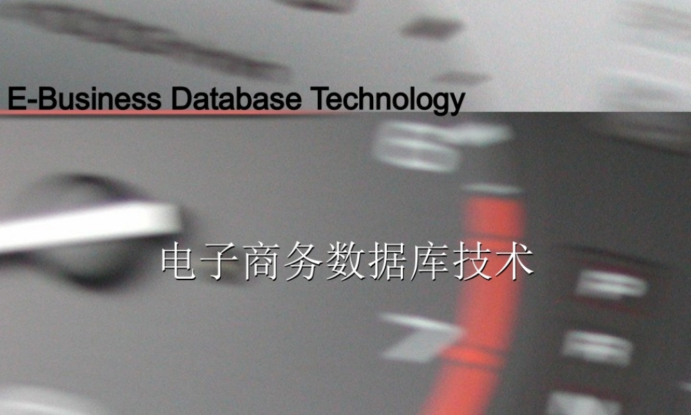 第一讲电子商务数据库技术.ppt
