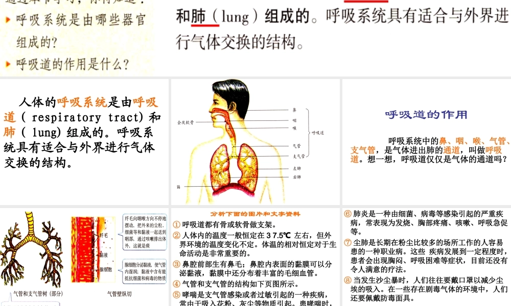 第一节_呼吸道对空气的处理(2012版).ppt