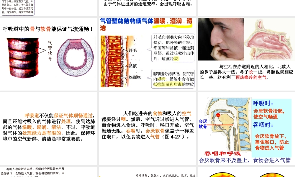 第一节_呼吸道对空气的处理(2012版).ppt
