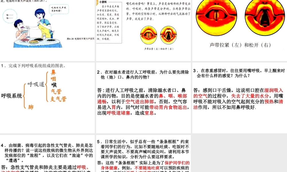 第一节_呼吸道对空气的处理(2012版).ppt