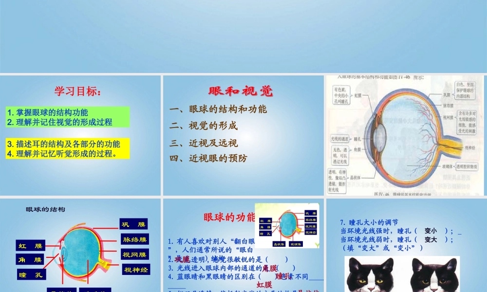 第一节_人体对外界环境的感知》课件.ppt