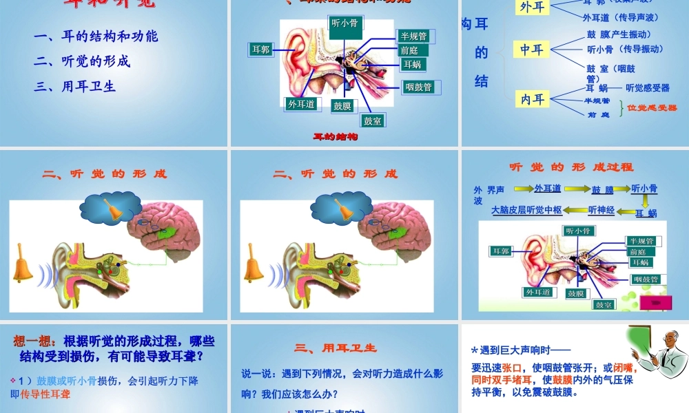 第一节_人体对外界环境的感知》课件.ppt