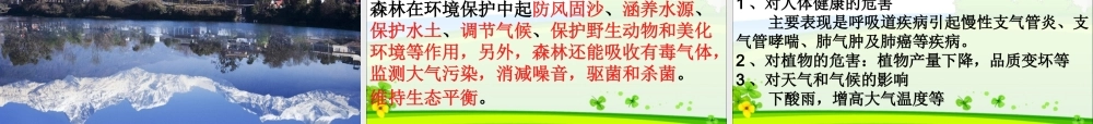 第一节分析人类活动对生态环境的影响.ppt