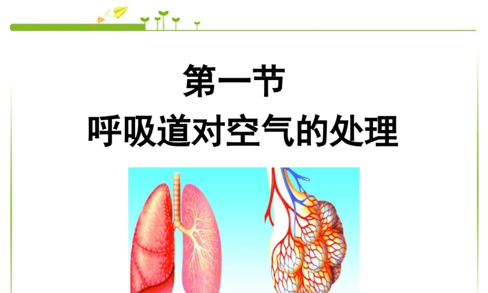 第一节呼吸道对空气的处理).ppt