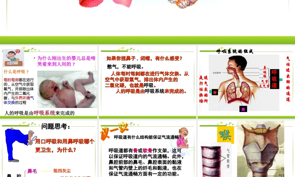 第一节呼吸道对空气的处理).ppt