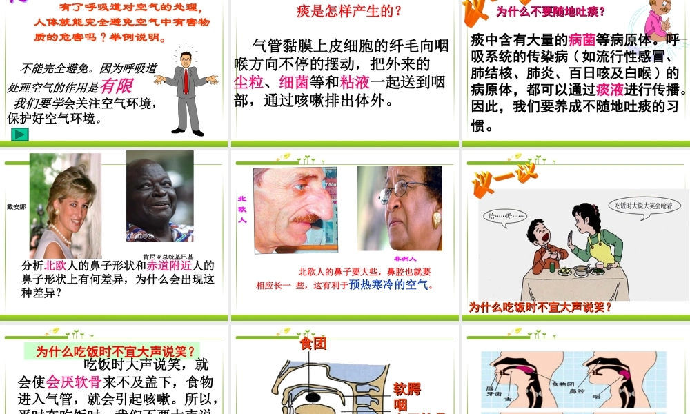 第一节呼吸道对空气的处理).ppt