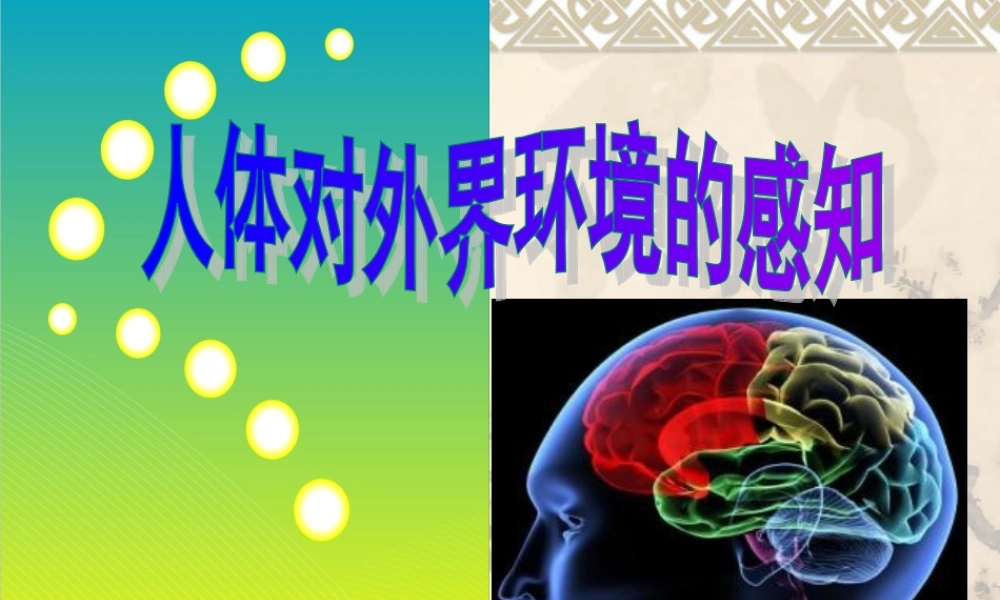 第一节人体对外界环境的感知1.ppt