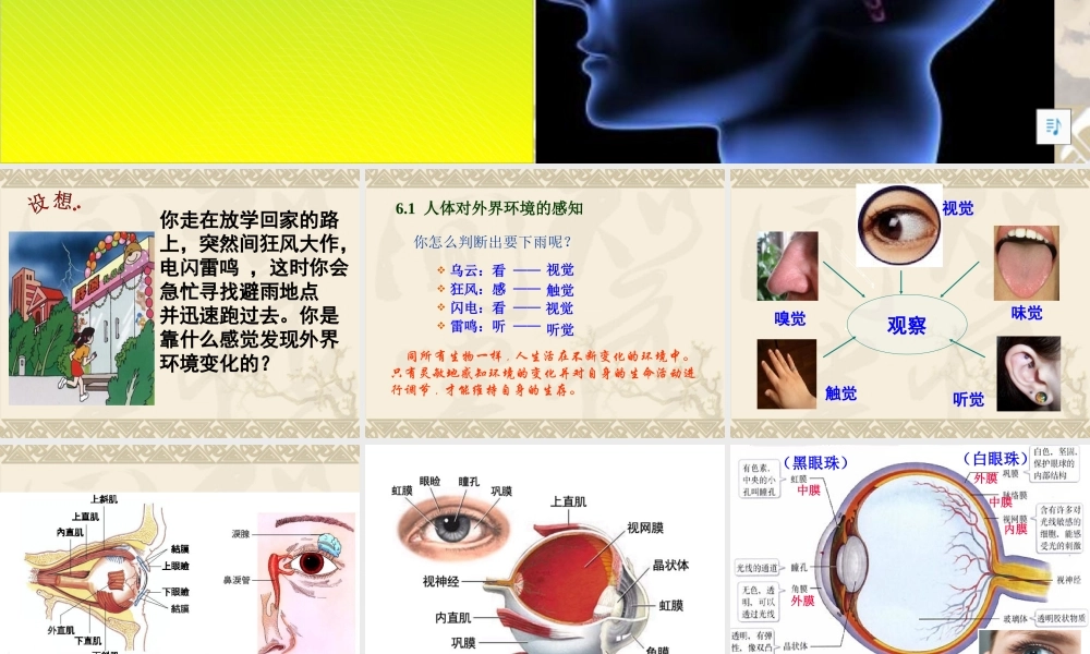 第一节人体对外界环境的感知1.ppt