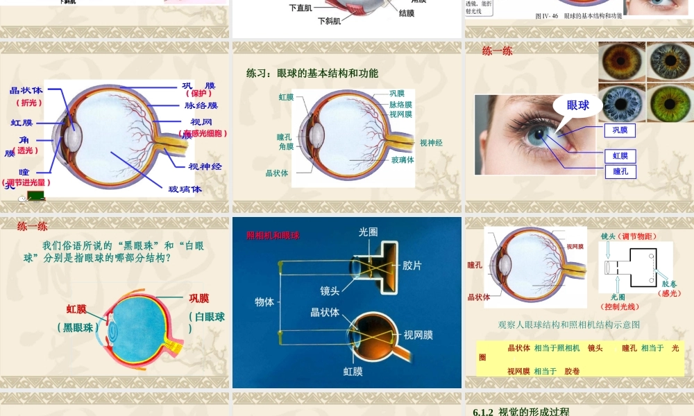 第一节人体对外界环境的感知1.ppt