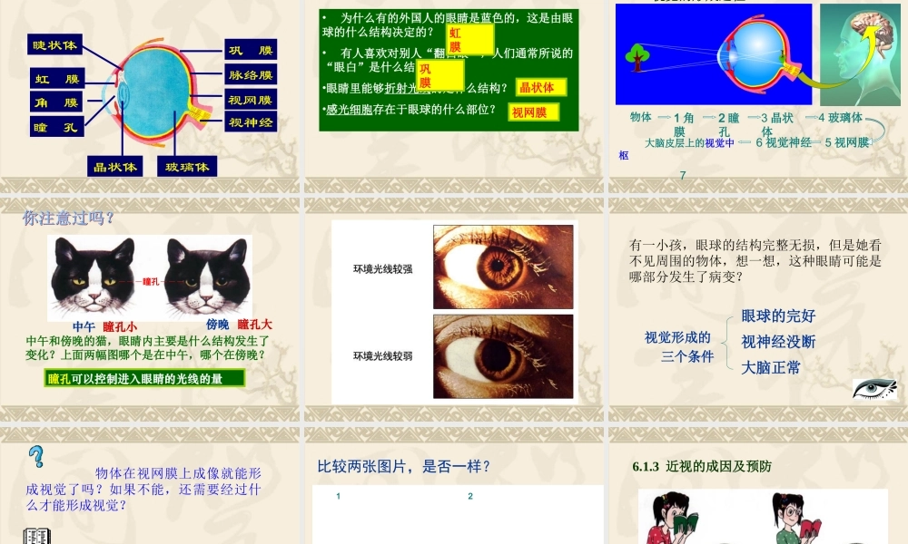 第一节人体对外界环境的感知1.ppt