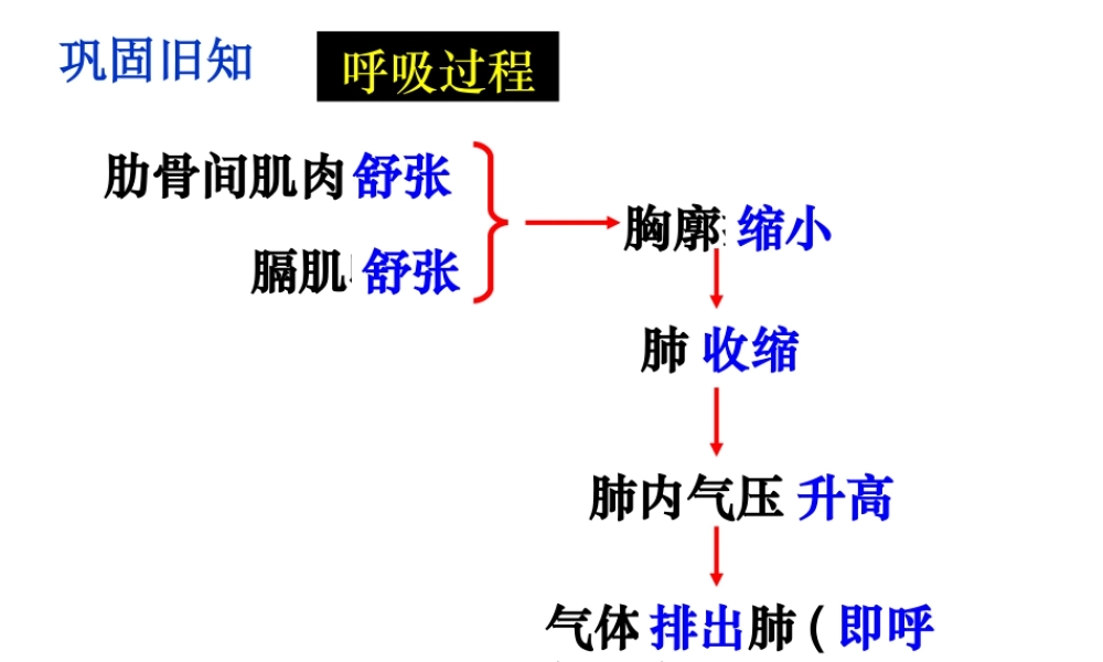 第一节_流动的组织——血液.ppt