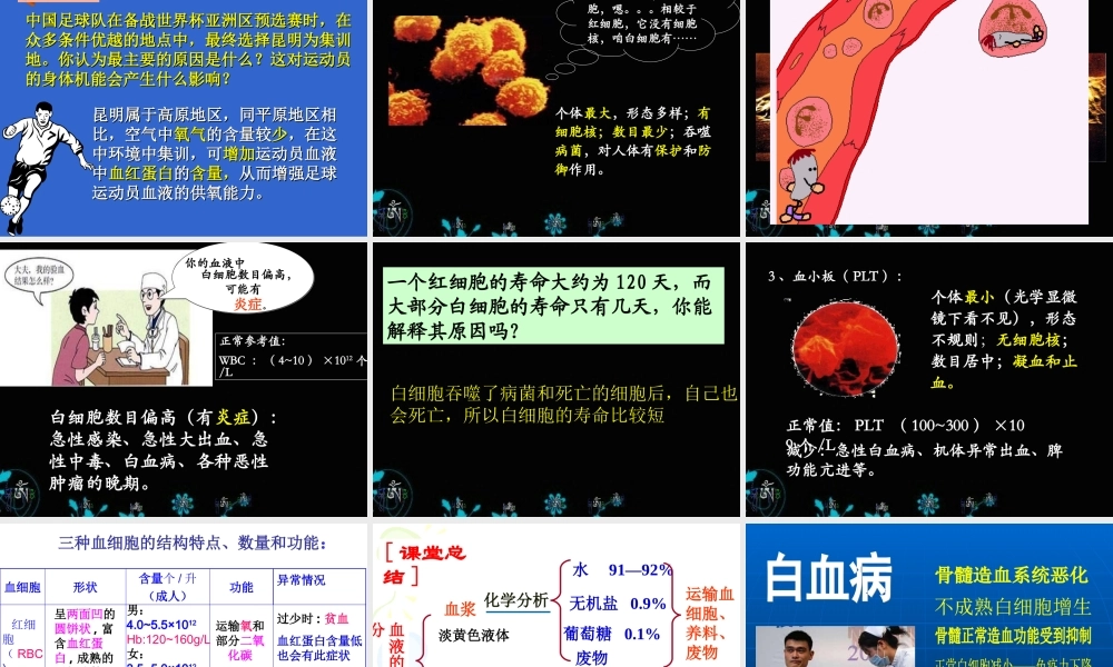 第一节_流动的组织——血液.ppt