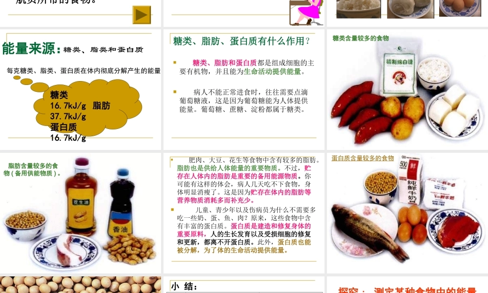 第一节食物中的营养物质.ppt