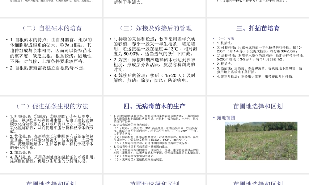 第一章果树苗木繁殖.ppt