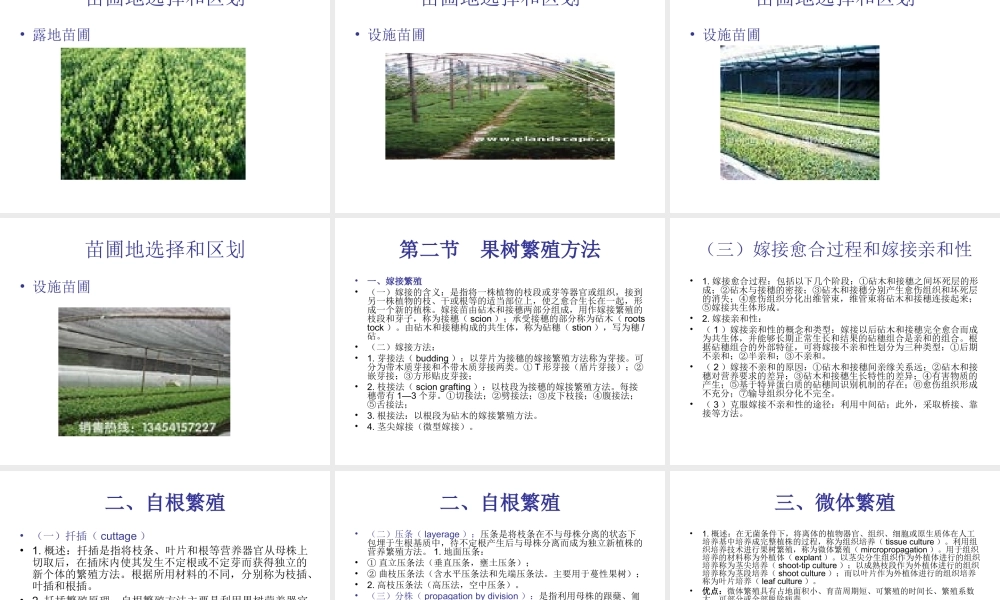 第一章果树苗木繁殖.ppt
