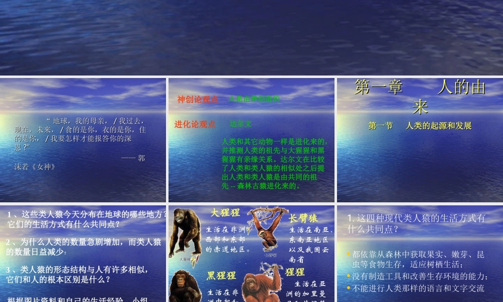 第一章第一节人类的起源和发展.ppt