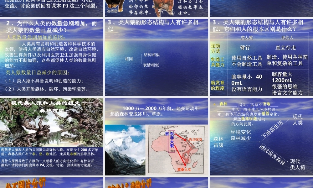 第一章第一节人类的起源和发展.ppt