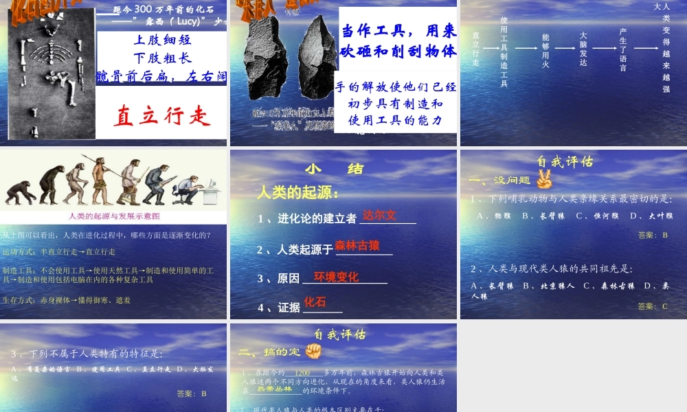 第一章第一节人类的起源和发展.ppt