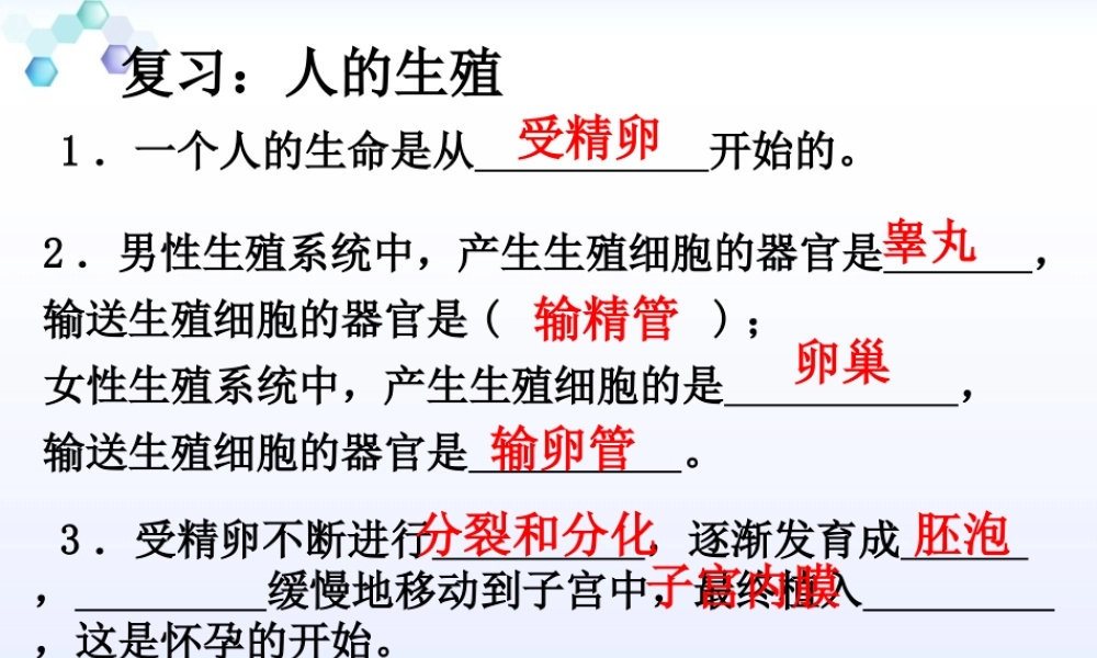 第一章人的由来第三节青春期.ppt