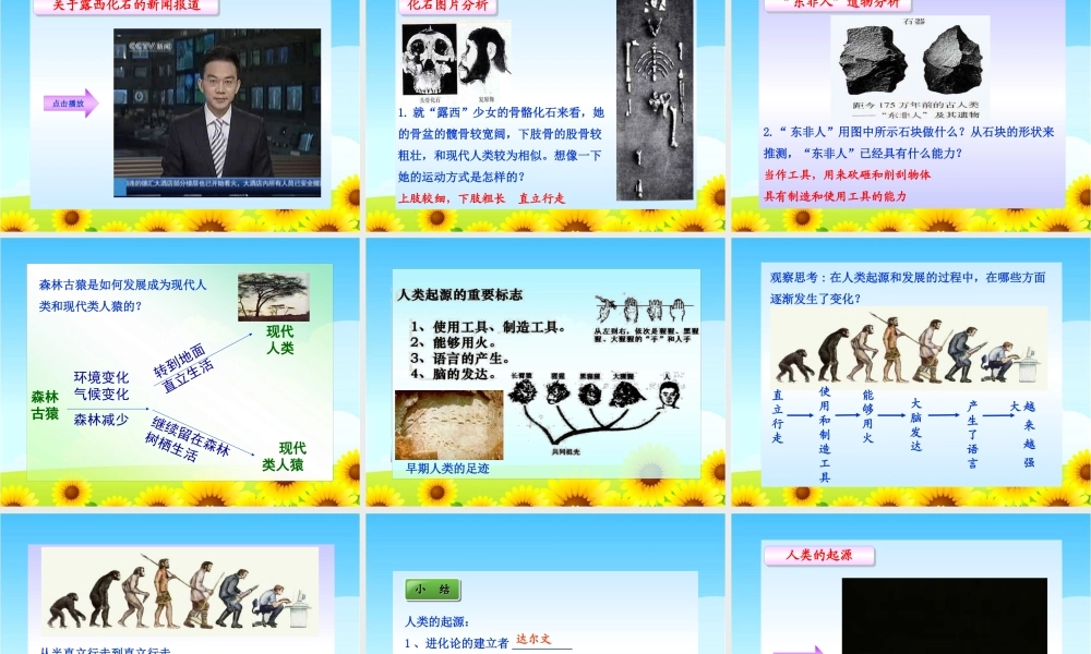 第一章__人的由来_第一节__人类的起源和发展.ppt