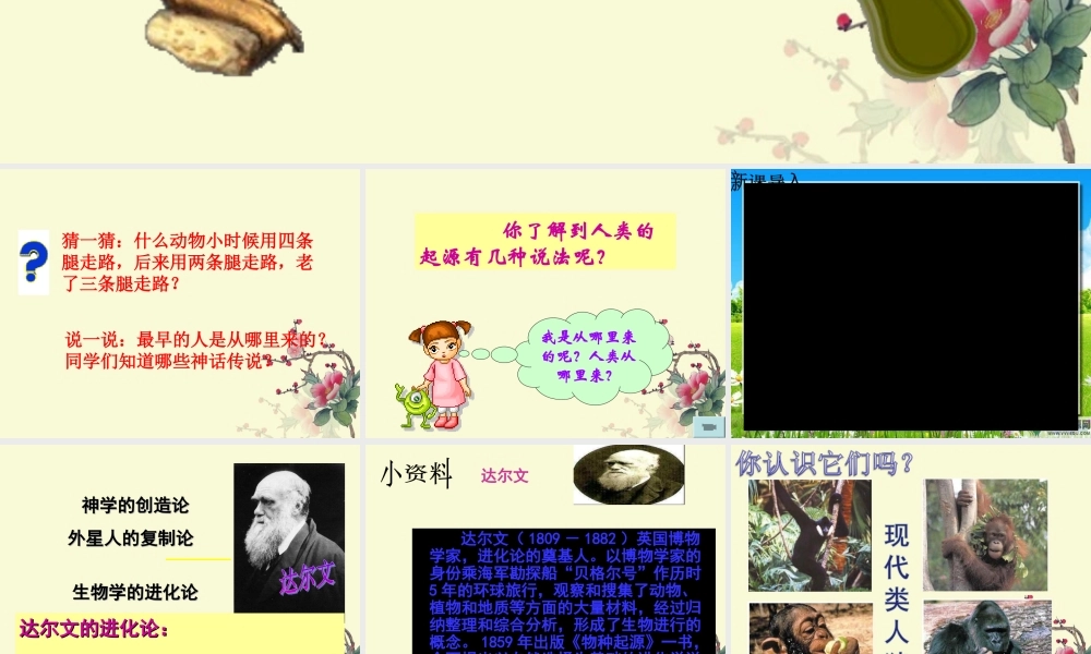 第一章第1节人类的起源和发展1.ppt