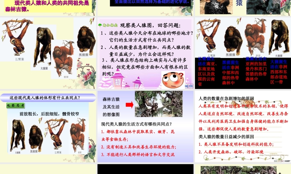 第一章第1节人类的起源和发展1.ppt