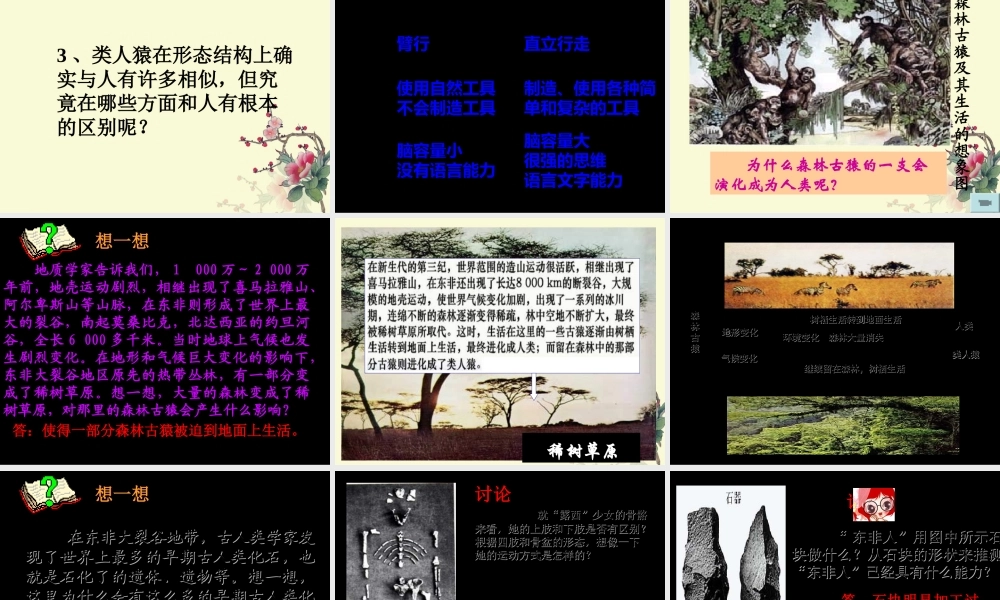 第一章第1节人类的起源和发展1.ppt