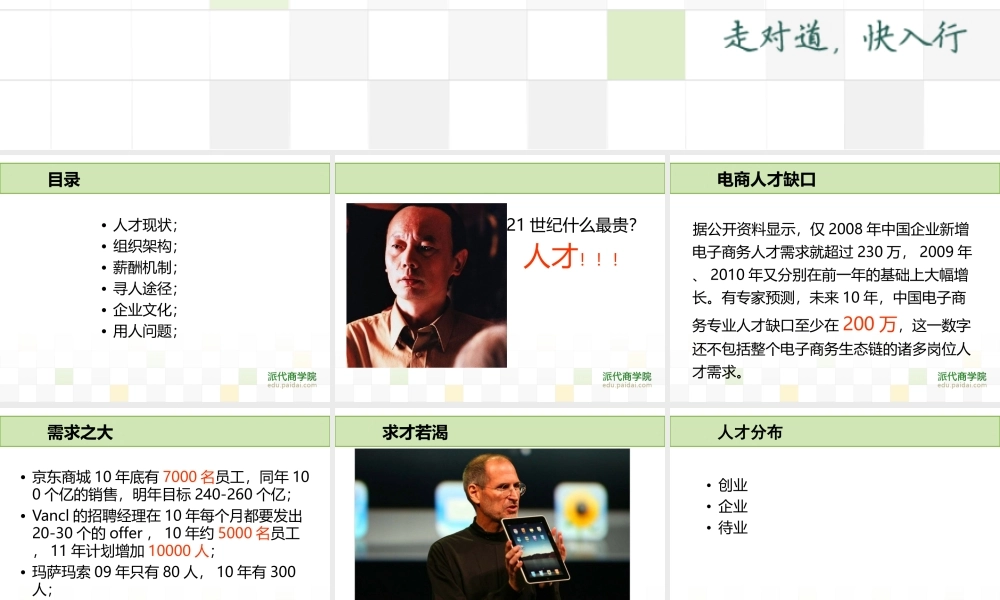 电商人才之惑-李冰.ppt