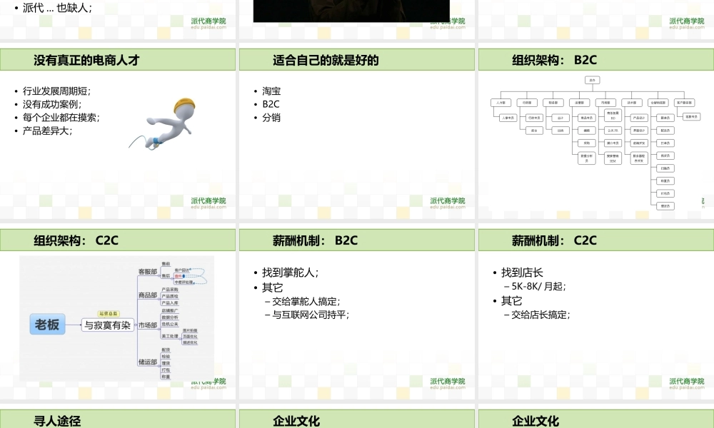 电商人才之惑-李冰.ppt
