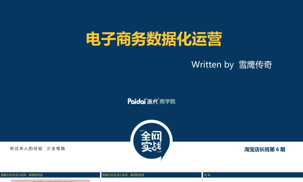 电商数据化运营_雪鹰_20130519.ppt