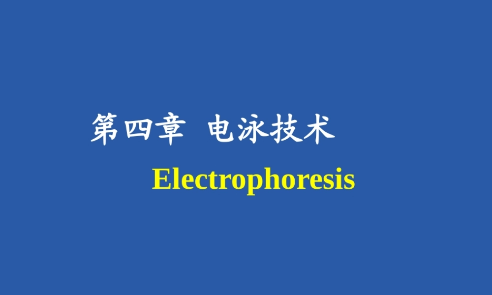 电泳技术-10-11-2017.ppt