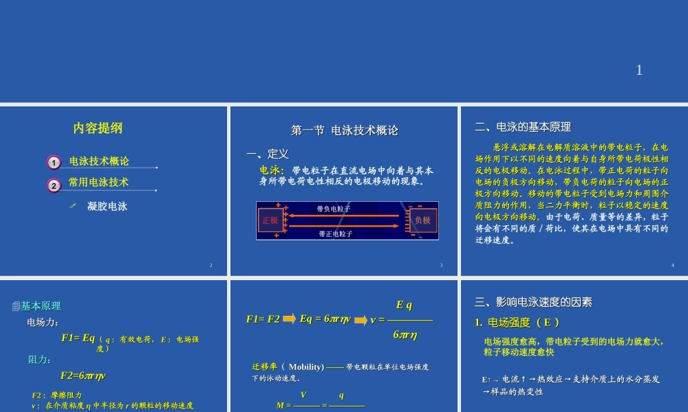 电泳技术-10-11-2017.ppt