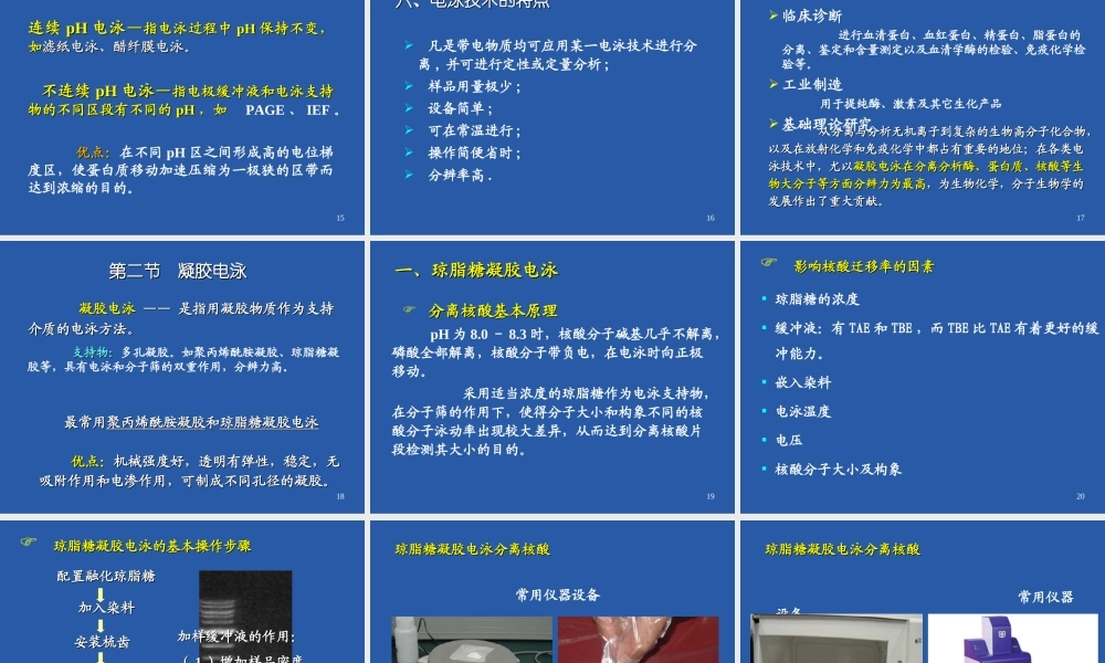 电泳技术-10-11-2017.ppt