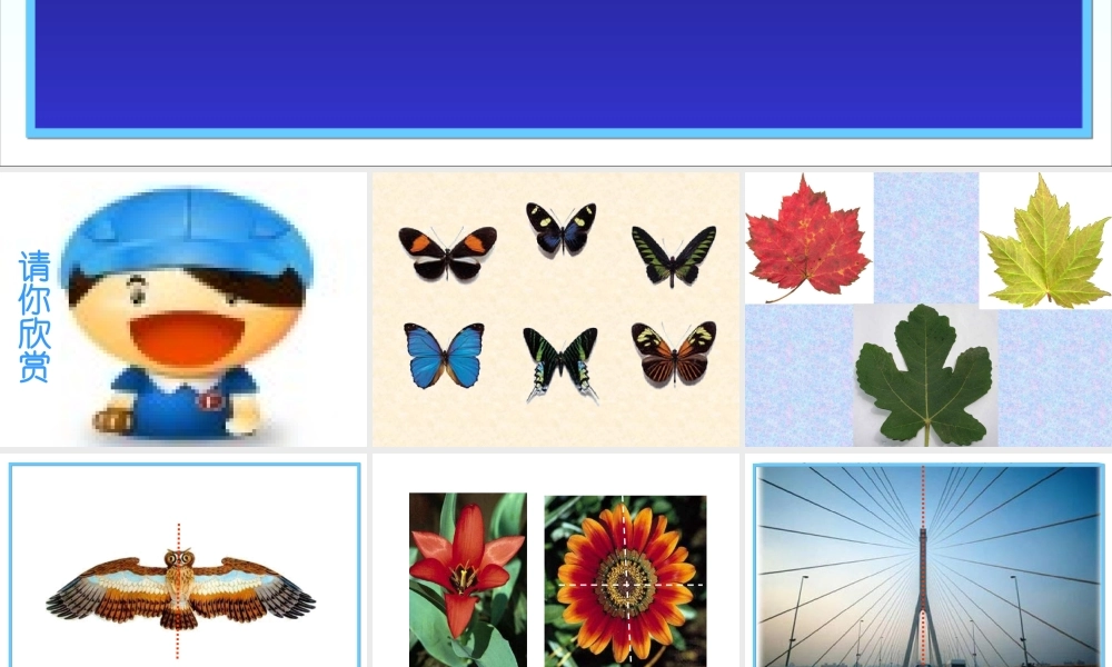 二年级数学轴对称图形.ppt