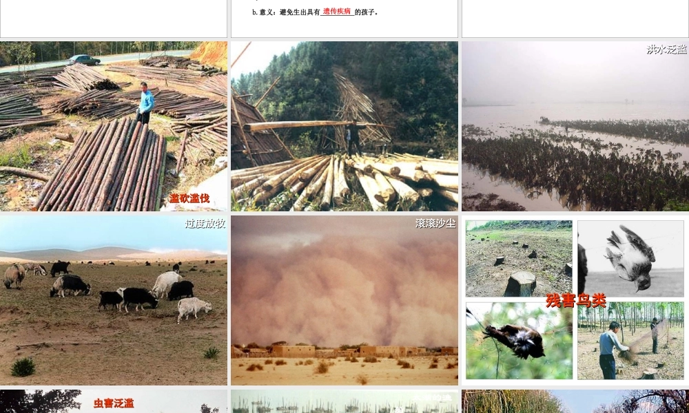 分析人类活动对生态环境的影响.ppt