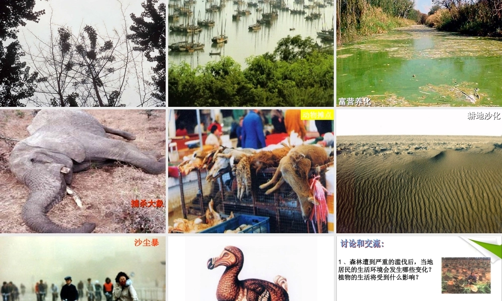 分析人类活动对生态环境的影响.ppt