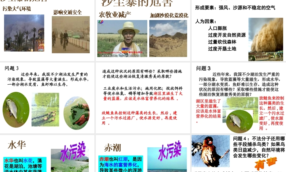 分析人类活动对生态环境的影响 (1).ppt