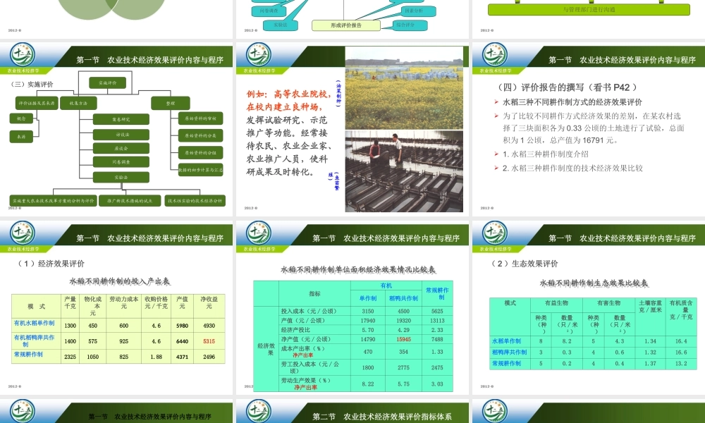 改后 第三章 农业技术经济效果评价.ppt