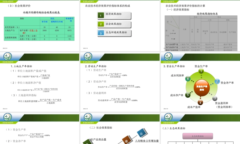 改后 第三章 农业技术经济效果评价.ppt