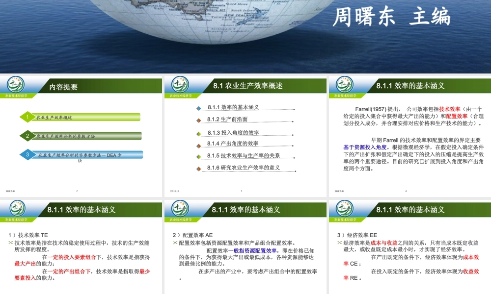 改后 第八章 农业生产的效率分析.ppt