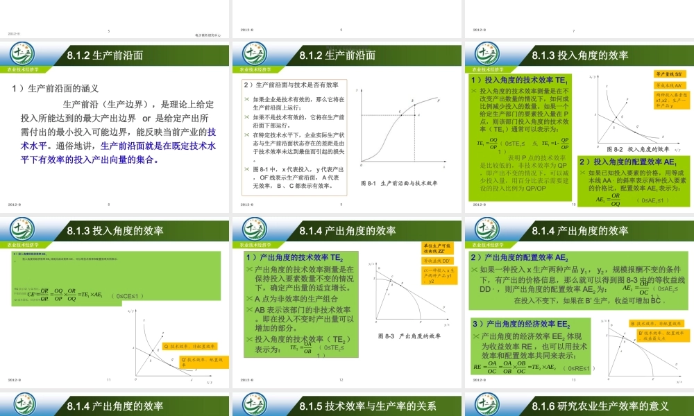 改后 第八章 农业生产的效率分析.ppt