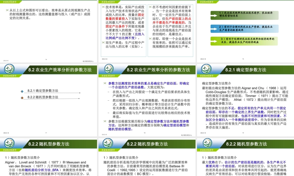 改后 第八章 农业生产的效率分析.ppt