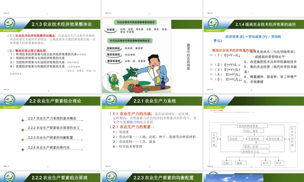 改后第二章 农业技术经济学基本理论.ppt