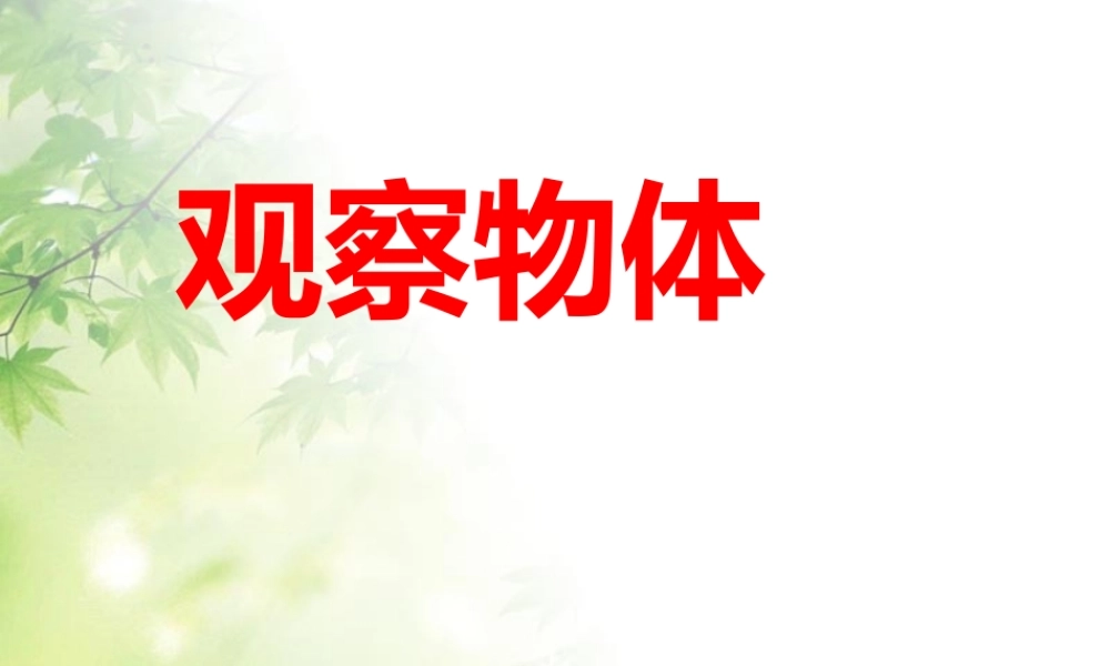 观察物体课件3.ppt