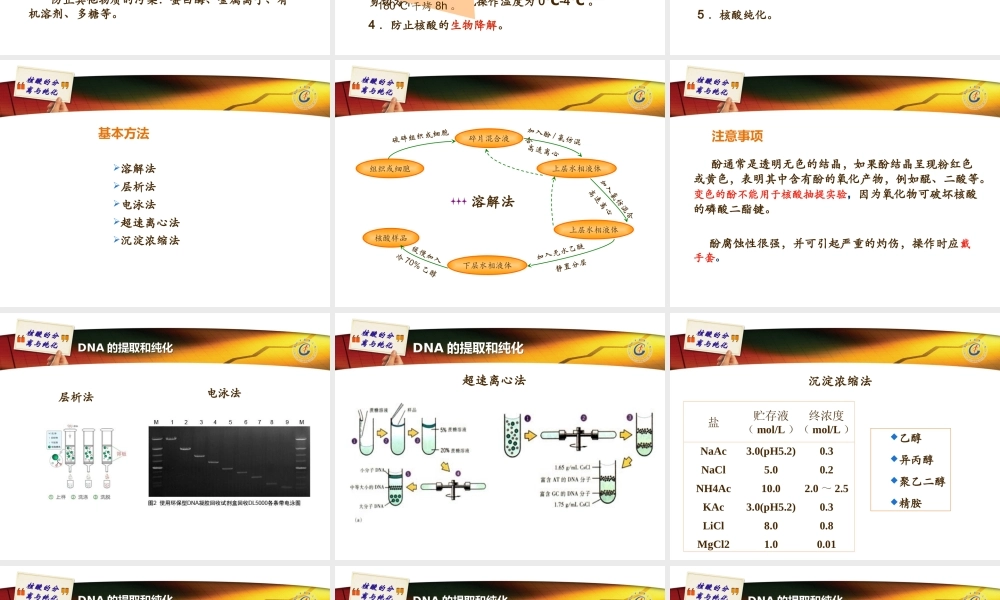 核酸的分离与提取10112017.ppt