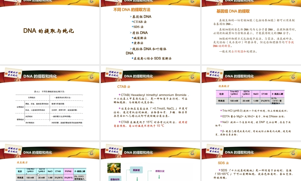 核酸的分离与提取10112017.ppt