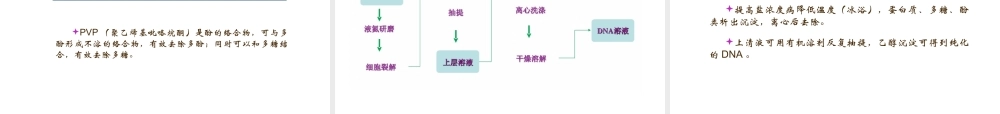 核酸的分离与提取10112017.ppt