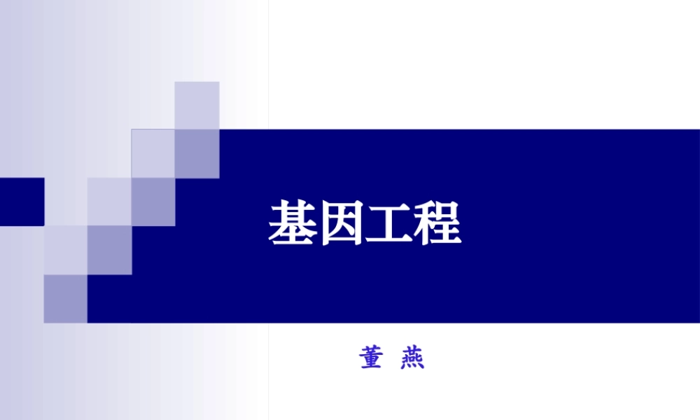 基因工程.ppt